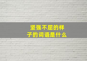 坚强不屈的样子的词语是什么