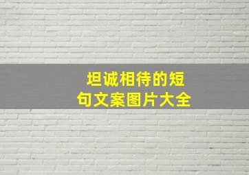 坦诚相待的短句文案图片大全