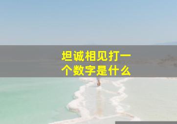 坦诚相见打一个数字是什么