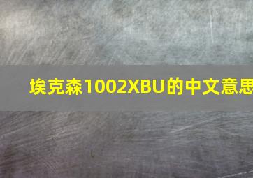 埃克森1002XBU的中文意思