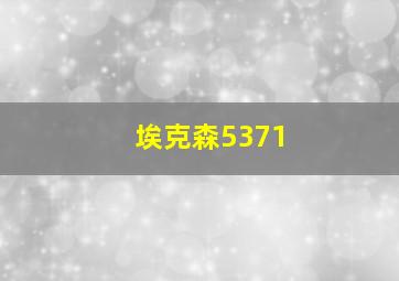 埃克森5371