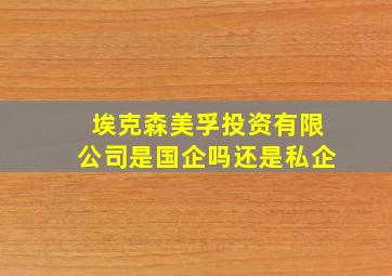 埃克森美孚投资有限公司是国企吗还是私企