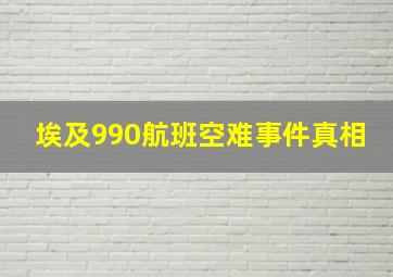 埃及990航班空难事件真相