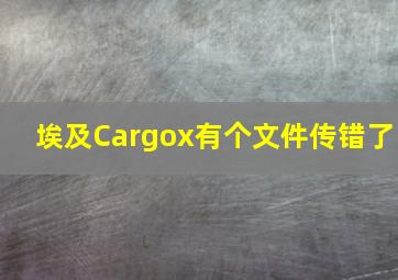 埃及Cargox有个文件传错了