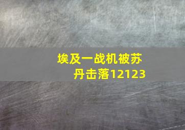 埃及一战机被苏丹击落12123