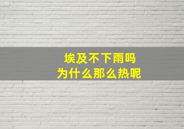 埃及不下雨吗为什么那么热呢