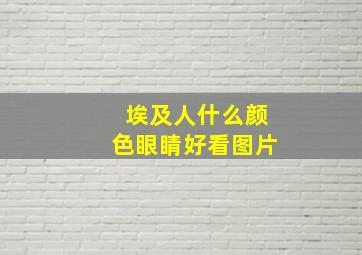 埃及人什么颜色眼睛好看图片