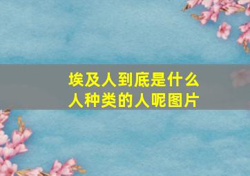 埃及人到底是什么人种类的人呢图片