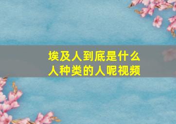 埃及人到底是什么人种类的人呢视频