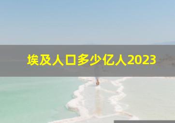 埃及人口多少亿人2023