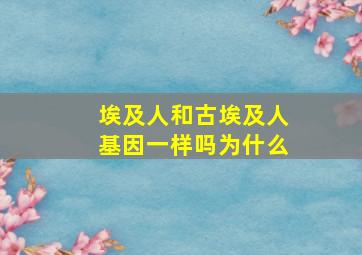 埃及人和古埃及人基因一样吗为什么