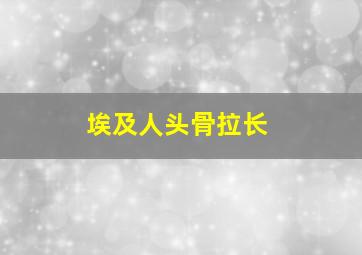 埃及人头骨拉长