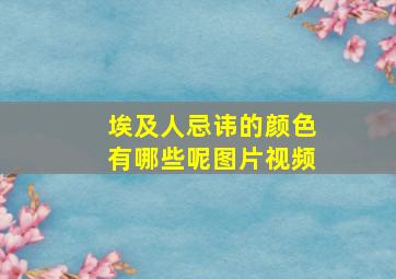 埃及人忌讳的颜色有哪些呢图片视频