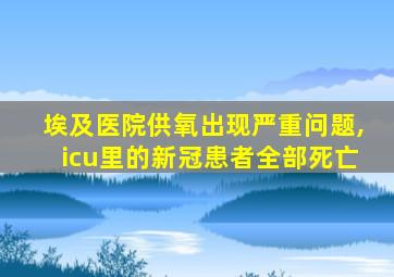 埃及医院供氧出现严重问题,icu里的新冠患者全部死亡