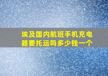 埃及国内航班手机充电器要托运吗多少钱一个