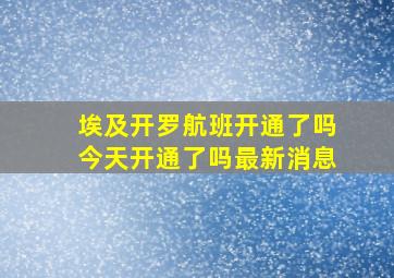 埃及开罗航班开通了吗今天开通了吗最新消息