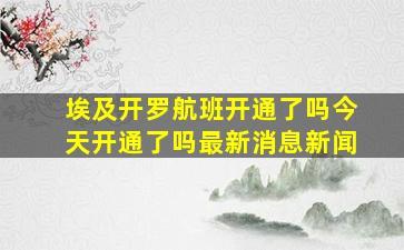 埃及开罗航班开通了吗今天开通了吗最新消息新闻