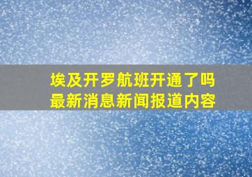 埃及开罗航班开通了吗最新消息新闻报道内容