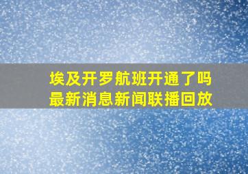 埃及开罗航班开通了吗最新消息新闻联播回放