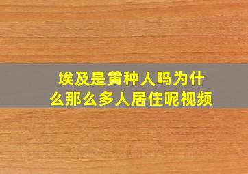 埃及是黄种人吗为什么那么多人居住呢视频