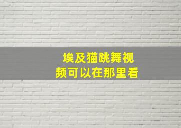 埃及猫跳舞视频可以在那里看