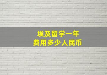 埃及留学一年费用多少人民币