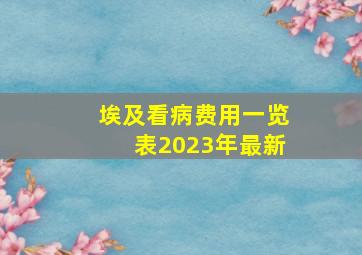 埃及看病费用一览表2023年最新