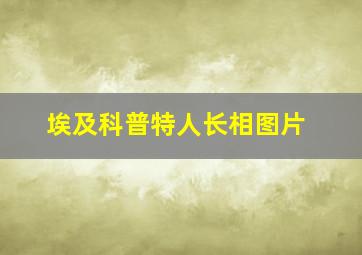 埃及科普特人长相图片