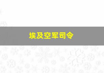 埃及空军司令