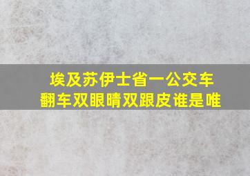 埃及苏伊士省一公交车翻车双眼晴双跟皮谁是唯