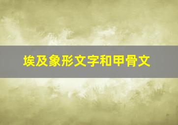 埃及象形文字和甲骨文