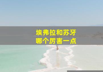 埃弗拉和苏牙哪个厉害一点