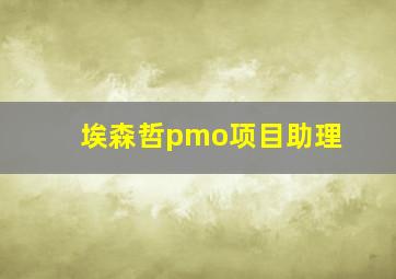 埃森哲pmo项目助理