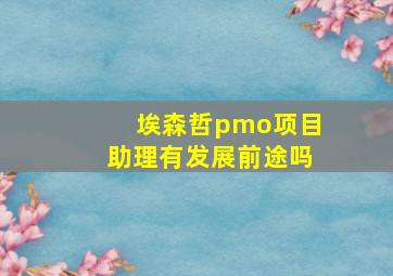 埃森哲pmo项目助理有发展前途吗