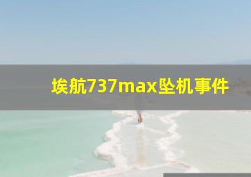 埃航737max坠机事件