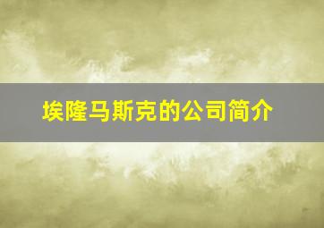 埃隆马斯克的公司简介