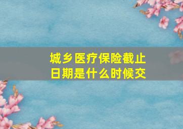 城乡医疗保险截止日期是什么时候交