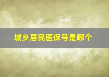 城乡居民医保号是哪个