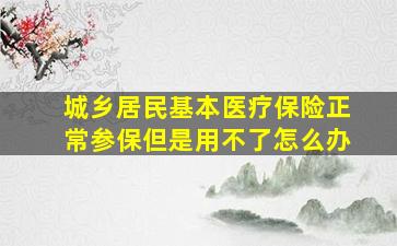 城乡居民基本医疗保险正常参保但是用不了怎么办