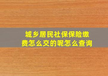 城乡居民社保保险缴费怎么交的呢怎么查询