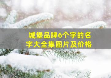 城堡品牌6个字的名字大全集图片及价格