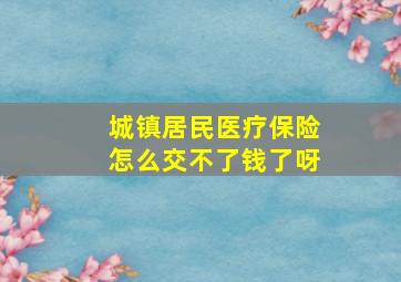 城镇居民医疗保险怎么交不了钱了呀