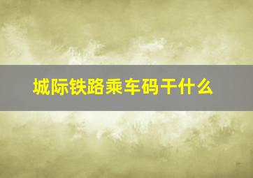 城际铁路乘车码干什么