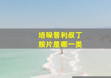 培哚普利叔丁胺片是哪一类