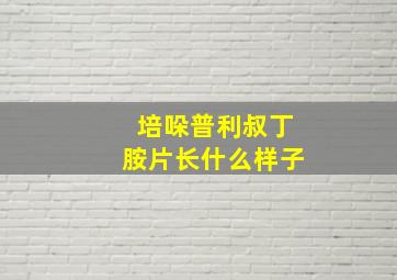 培哚普利叔丁胺片长什么样子