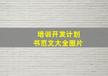 培训开发计划书范文大全图片