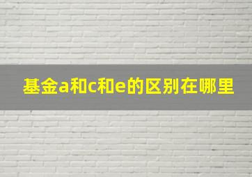 基金a和c和e的区别在哪里