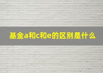 基金a和c和e的区别是什么