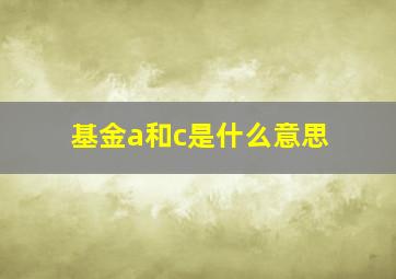 基金a和c是什么意思