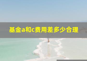 基金a和c费用差多少合理